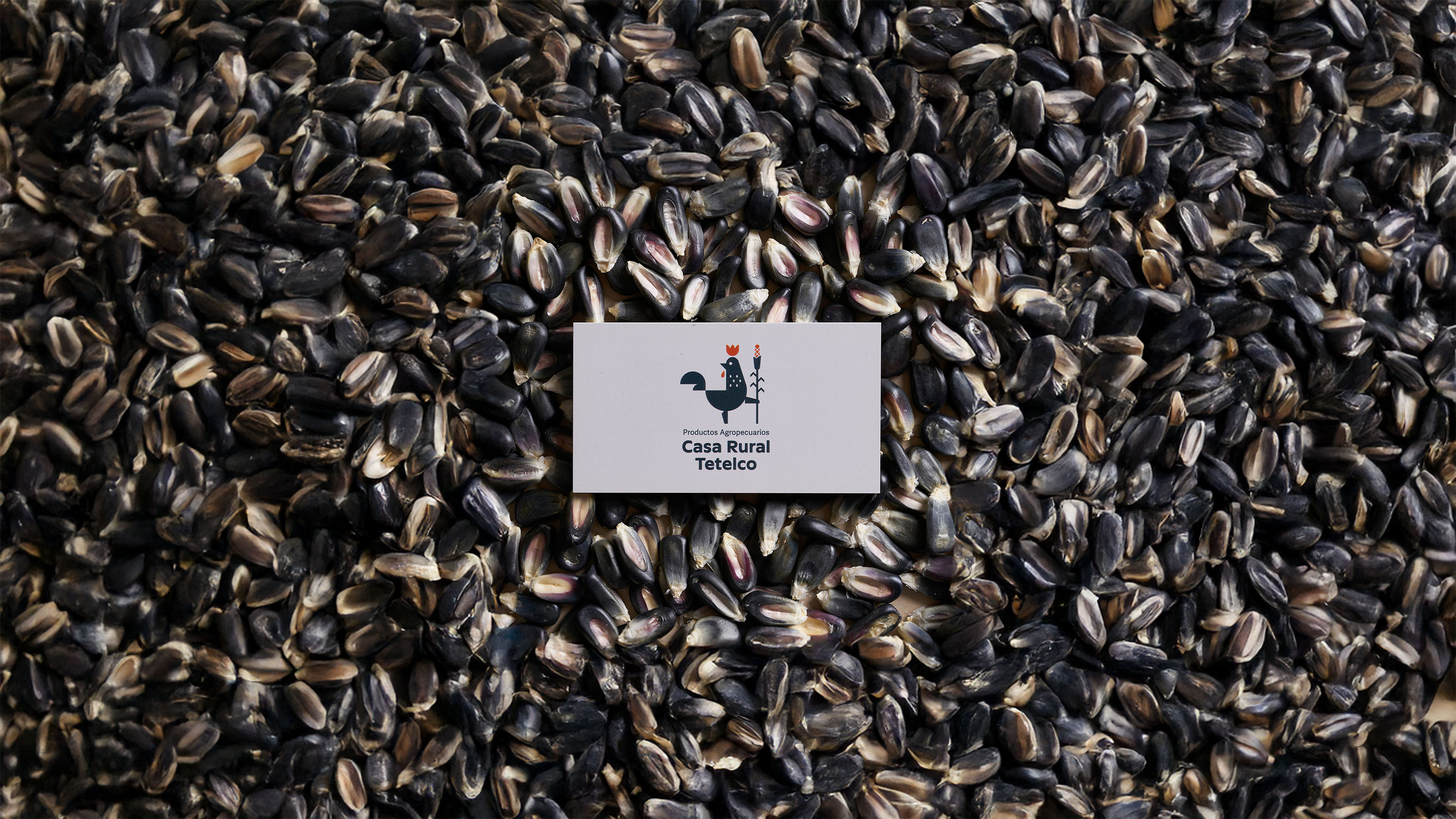 Wellness by Design project